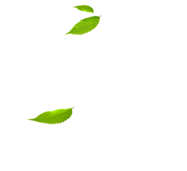 faq_bg_1 e1760089350270