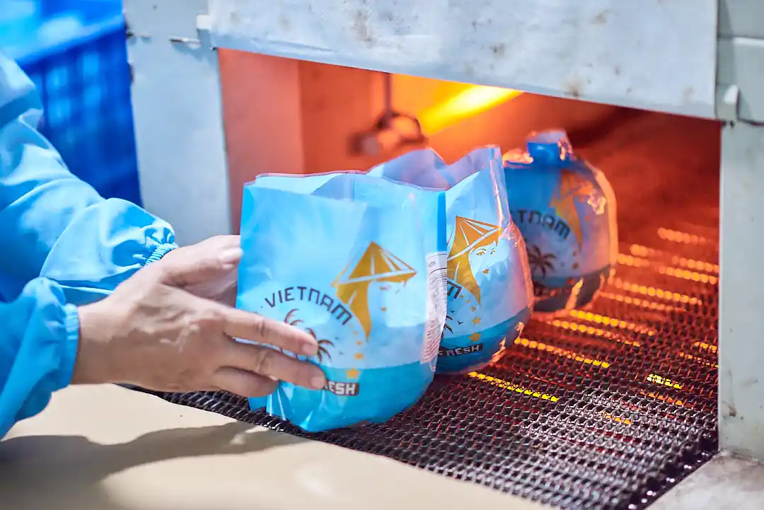 Is Easy Open Coconut Different from Other Export-Ready Types