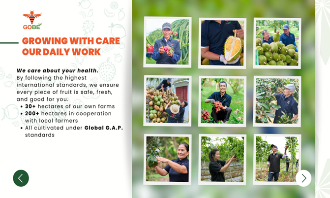 Golden Bee - Every fruit is a gift from nature - taken with care by hands of farmer