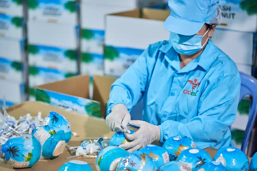 What Packaging and Count Options Are Available for B2B Buyers