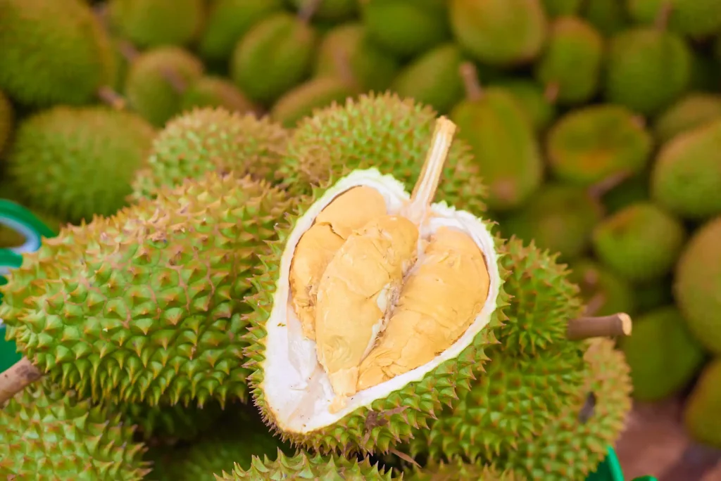What Makes Ri6 Durian Unique Among Vietnamese Varieties?