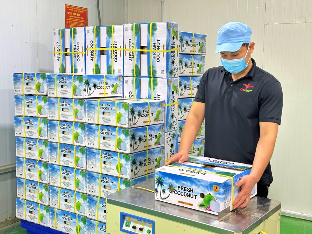 Shrink-wrapped fresh Vietnamese coconuts packed in durable export cartons for sea freight.