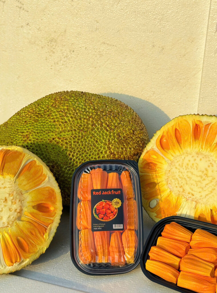 Premium Vietnamese jackfruit processed for export markets 
