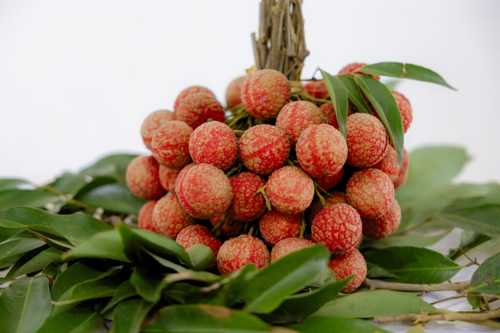 Fresh Vietnamese lychee packed for international wholesale markets
