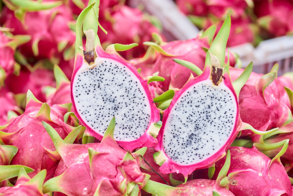 White dragon fruit from Vietnam fruit exporter for global distribution