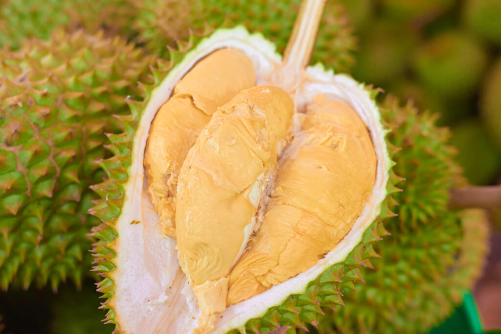 Premium Vietnamese durian from tropical fruit wholesale supplier in Vietnam