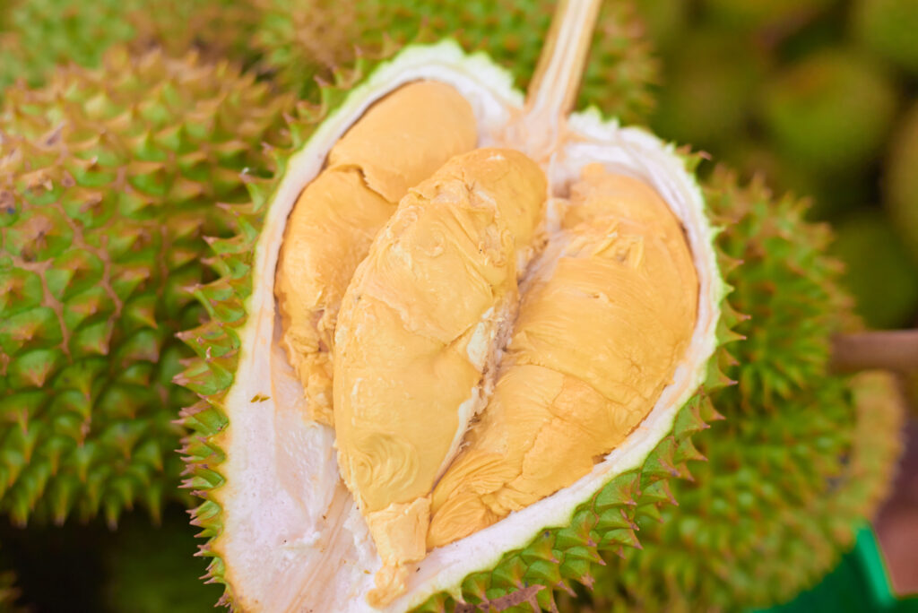tropical fruits in Viet Nam