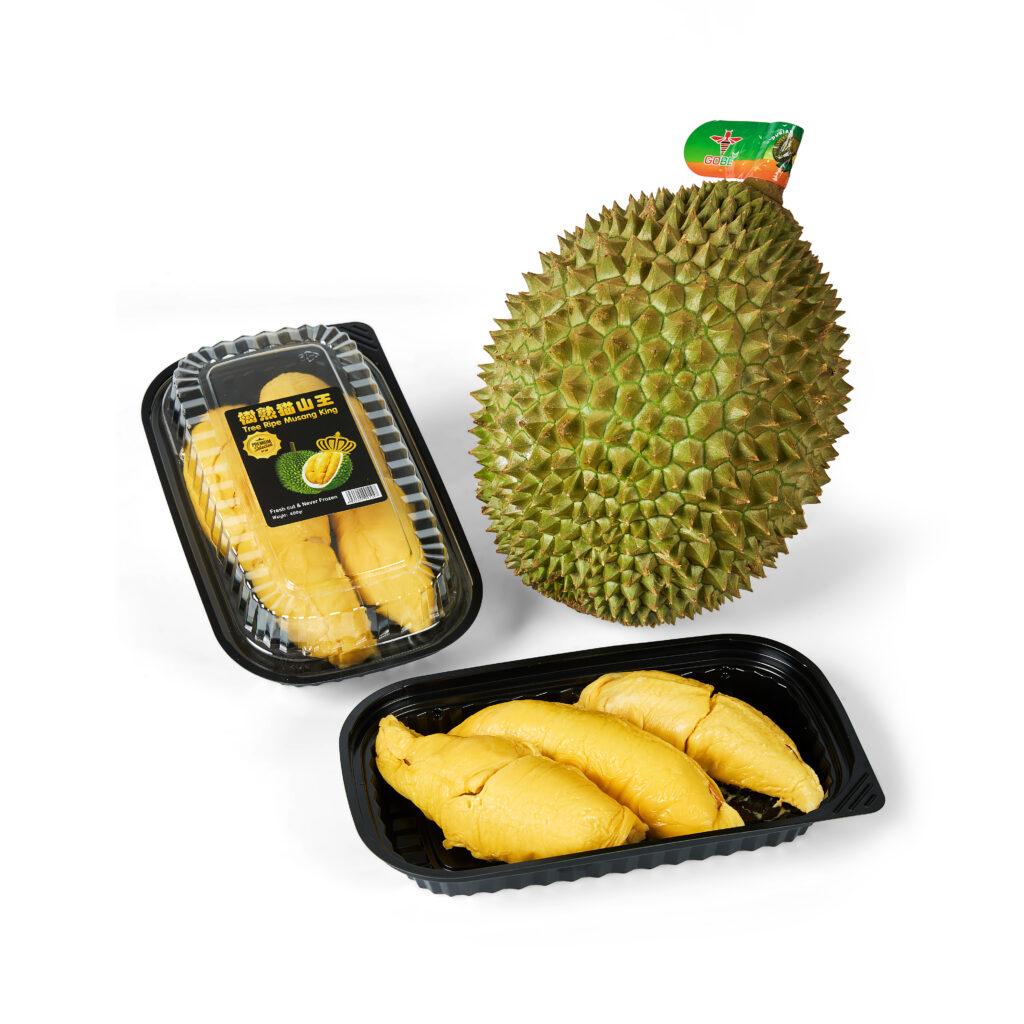 Premium Vietnamese Musang King durian ready for international wholesale export.