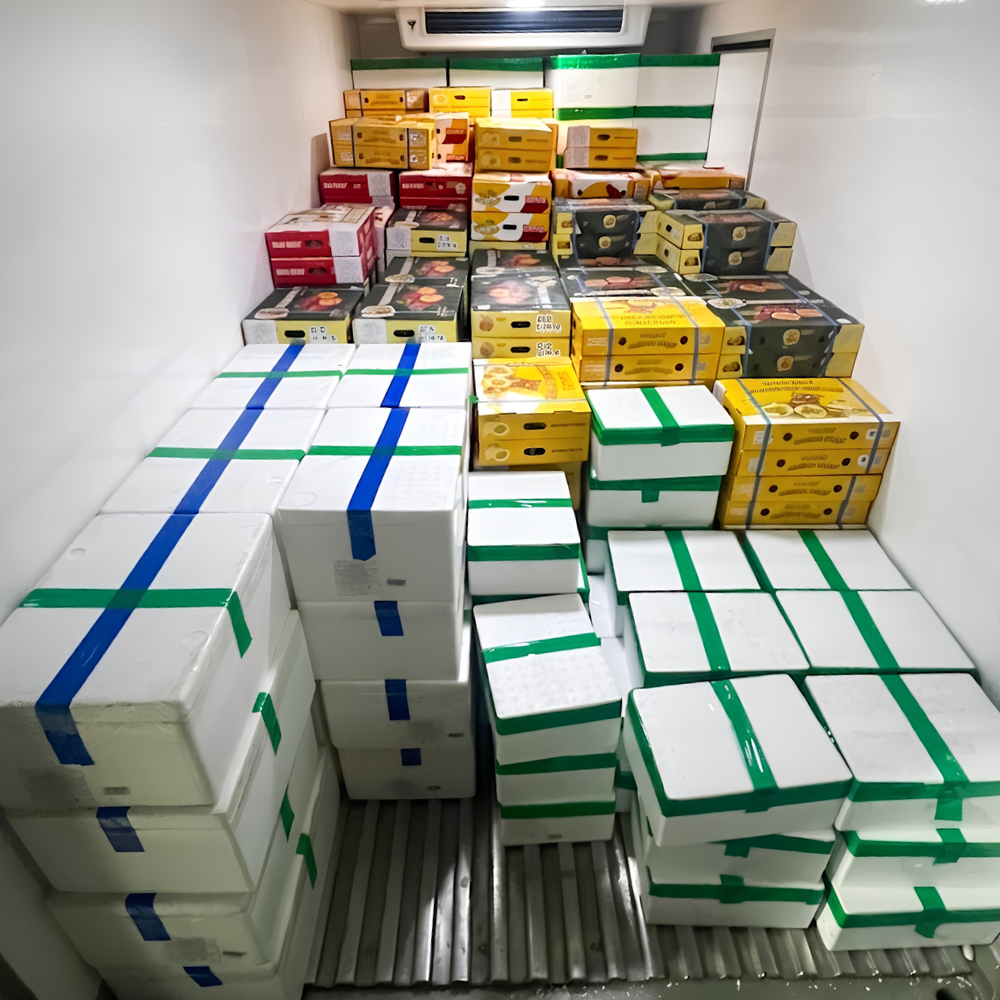 Cold-chain logistics and mixed fruit container loading by a reliable Vietnam fruit supplier