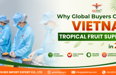 Why global buyers choose Vietnam tropical fruit suppliers in 2026 - Professional fruit packing facility at GOBE IMEX.