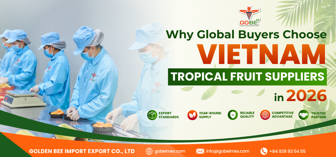 Why global buyers choose Vietnam tropical fruit suppliers in 2026 - Professional fruit packing facility at GOBE IMEX.