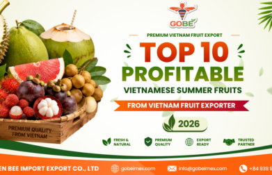 Top 10 profitable Vietnamese summer fruits from a Vietnam fruit exporter featuring durian, dragon fruit, coconut, pomelo, longan, lychee, rambutan, and mangosteen for global wholesale markets in 2026
