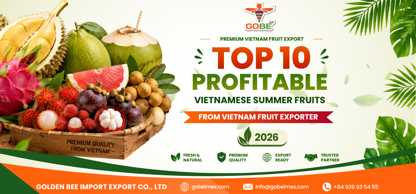Top 10 profitable Vietnamese summer fruits from a Vietnam fruit exporter featuring durian, dragon fruit, coconut, pomelo, longan, lychee, rambutan, and mangosteen for global wholesale markets in 2026