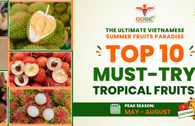 Top 10 Vietnamese Summer Fruits 2026