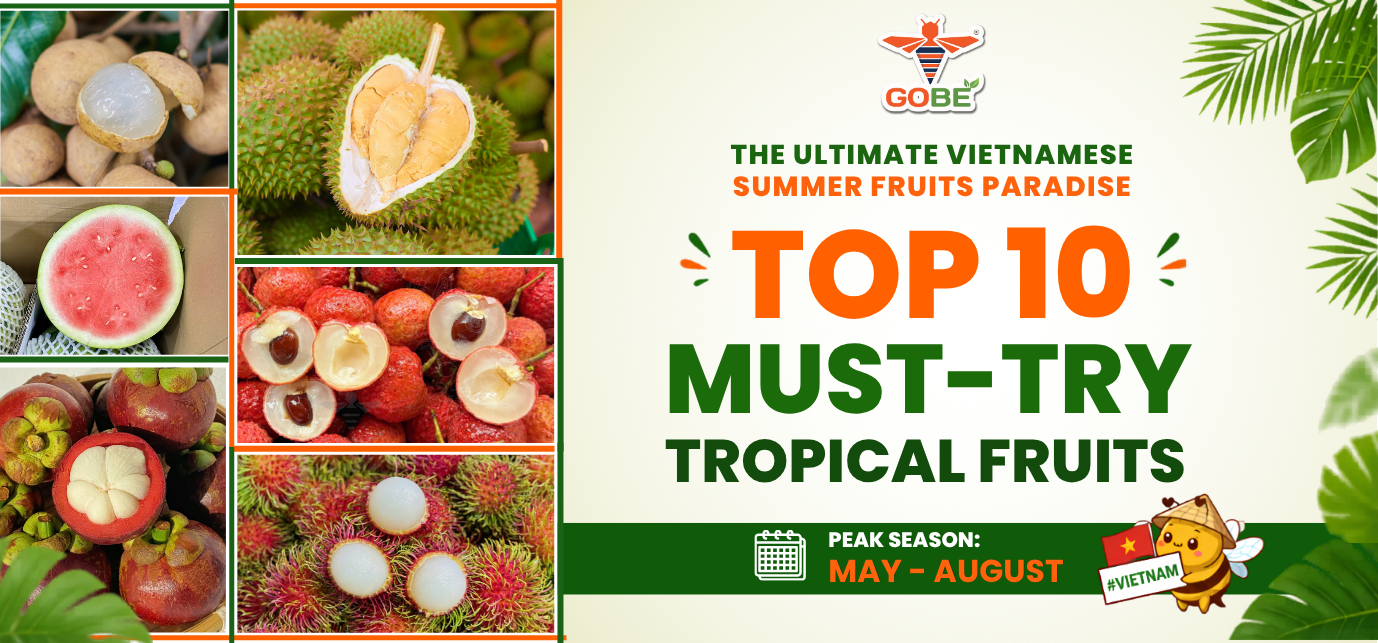 Top 10 Vietnamese Summer Fruits 2026