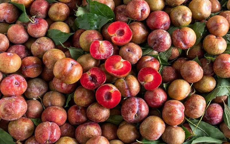 Tropical Fruits in Vietnam