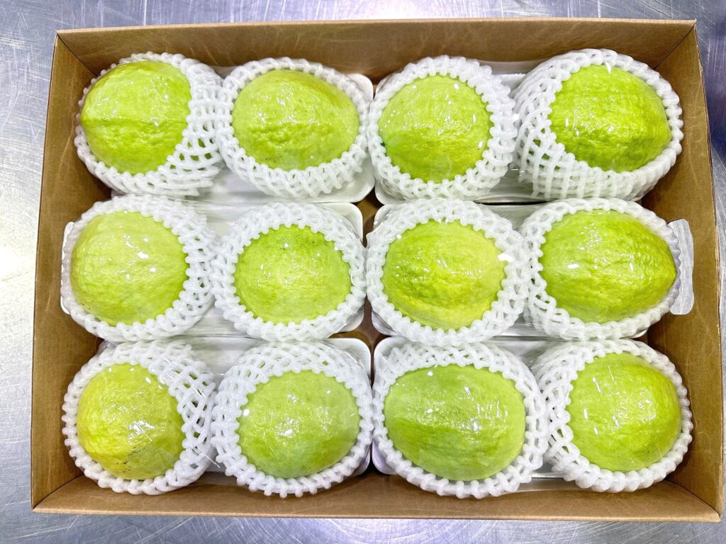 Protective foam netting and moisture-control packaging for fresh Vietnamese guavas by tropical fruit suppliers.