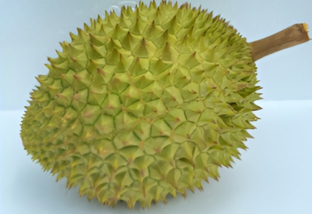 A 6-step visual guide on how to open a durian easily