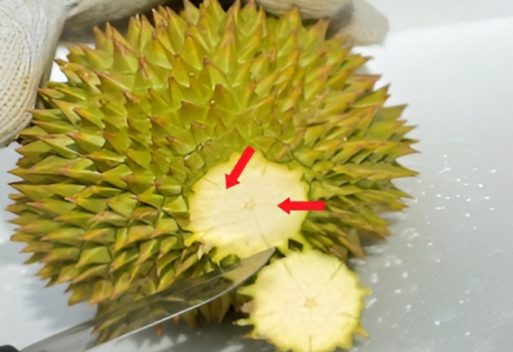 Detailed diagram demonstrating how to open a durian by finding the segment lines
