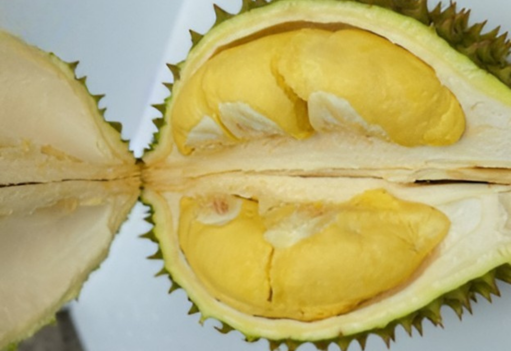 Visual tutorial on how to open a durian to reveal the fresh golden pods inside