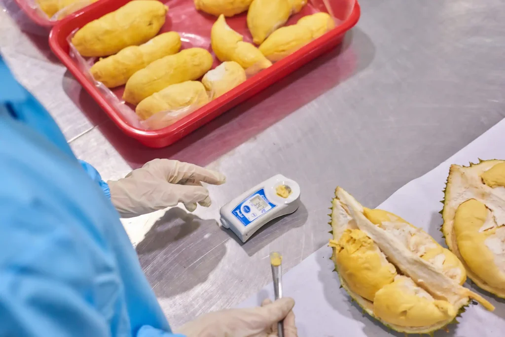 How Does a Certified Vietnam Supplier Maintain Cold Chain Integrity for Peeled Monthong Durian?
