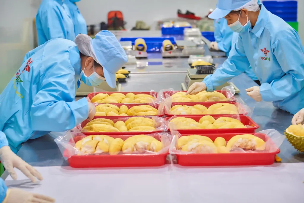 What Is Peeled Monthong Durian and Why Is It the Preferred Format for International Wholesale Buyers?