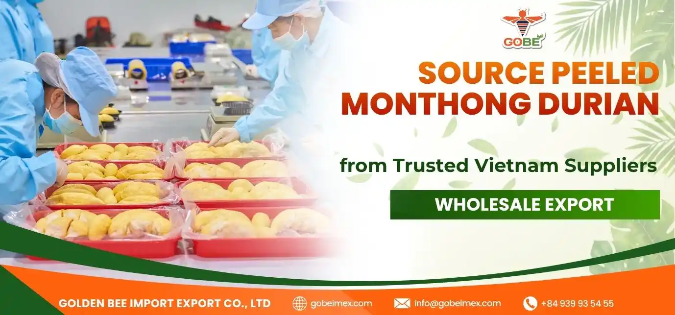 Source Peeled Monthong Durian from Trusted Vietnam Suppliers – Wholesale Export