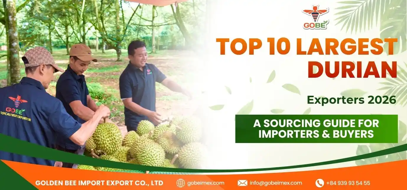Top 10 Largest Durian Exporters 2026: A Sourcing Guide for Importers & Buyers