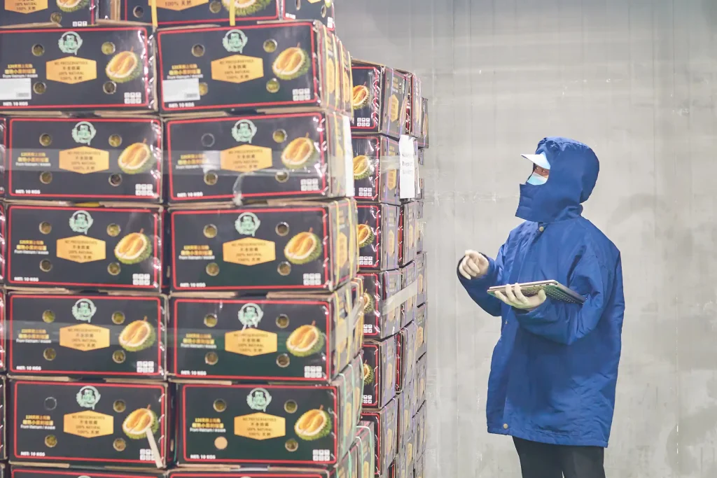 Trading Company vs. Integrated Farm-to-Export Supplier: Which Is More Reliable