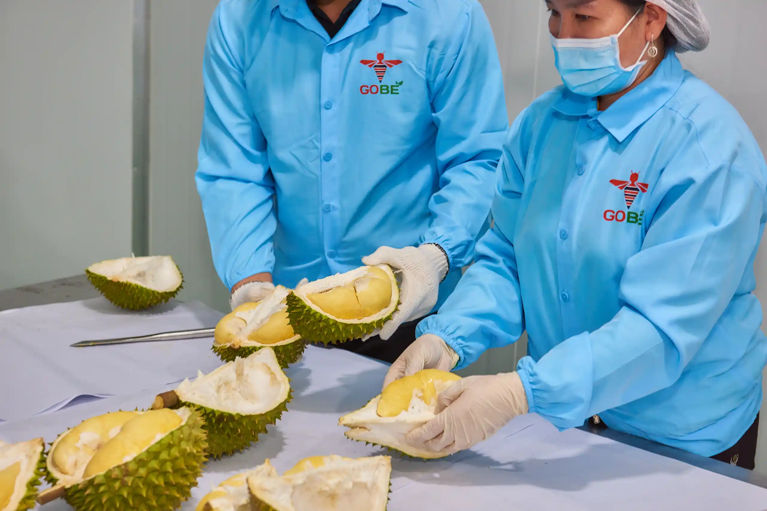 What-Are-the-Commercial-Advantages-of-Frozen-Peeled-Durian-for-Long-Haul-Sea-Freight-Importers