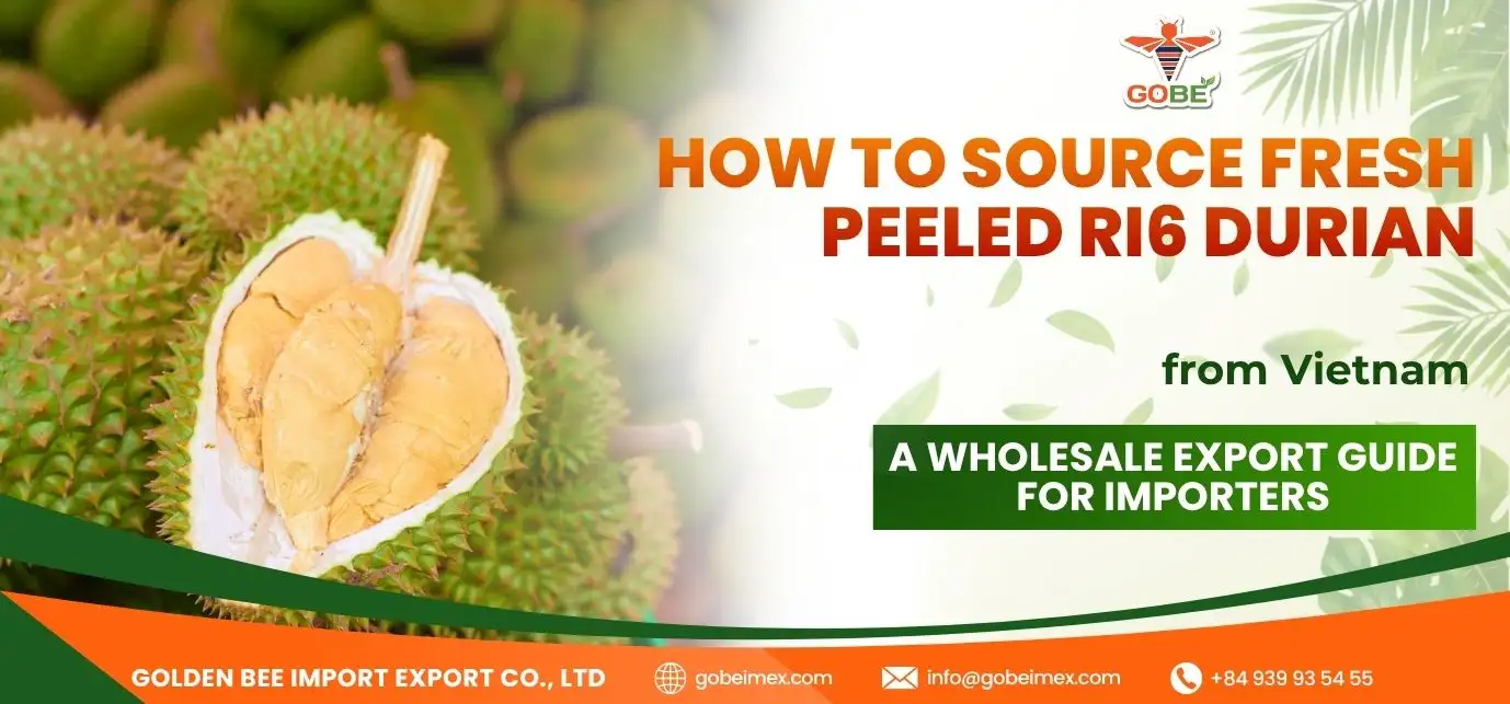 How to Source Fresh Peeled Ri6 Durian from Vietnam: A Wholesale Export Guide for Importers