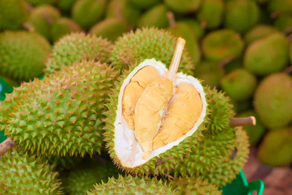 What Criteria Should Importers Use to Evaluate a Vietnamese Ri6 Durian Exporter