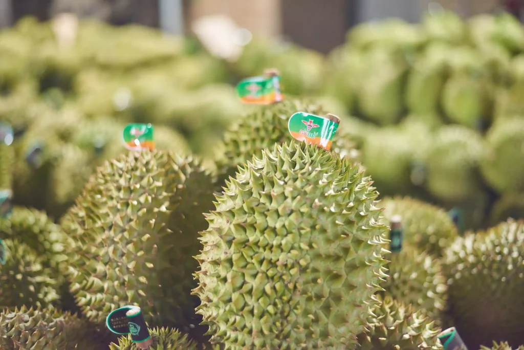 What Is Durian Fruit and What Makes It Nutritionally Advantageous?