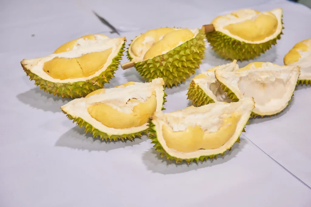 Which Durian Variety Offers the Best Wholesale Value for Importers: Ri6, Musang King, or Mon Thong?