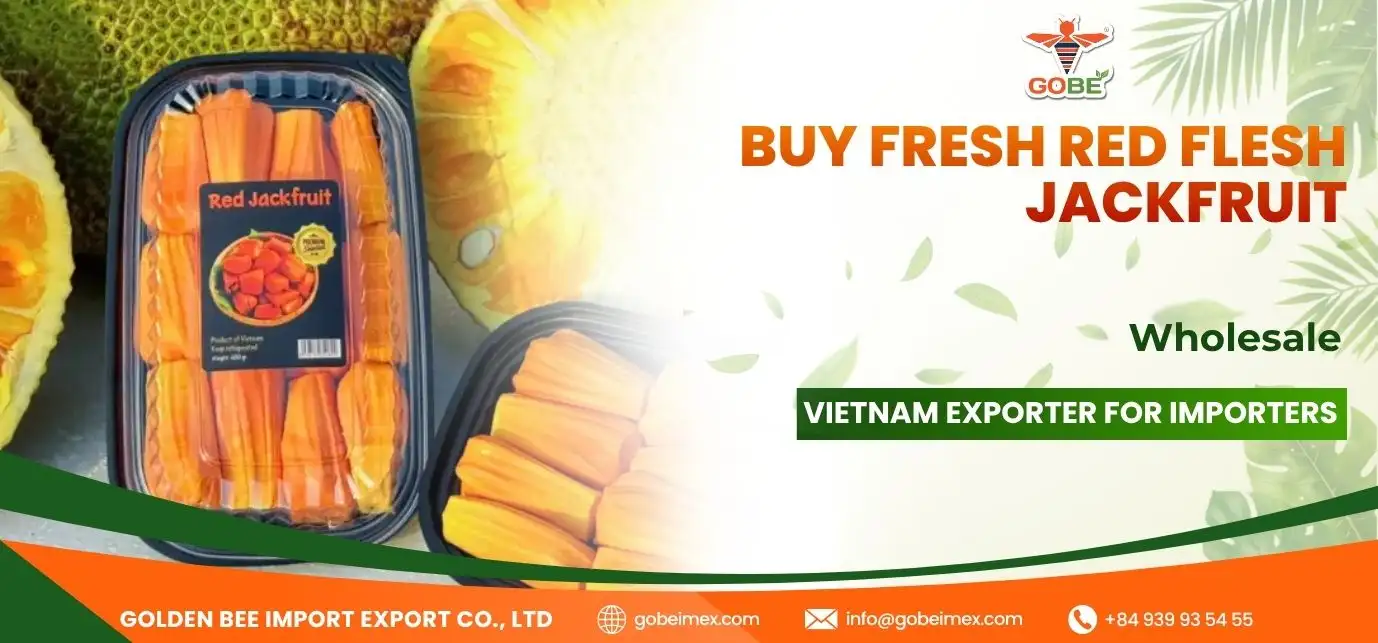 Buy Fresh Red Flesh Jackfruit Wholesale: Vietnam Exporter for Importers