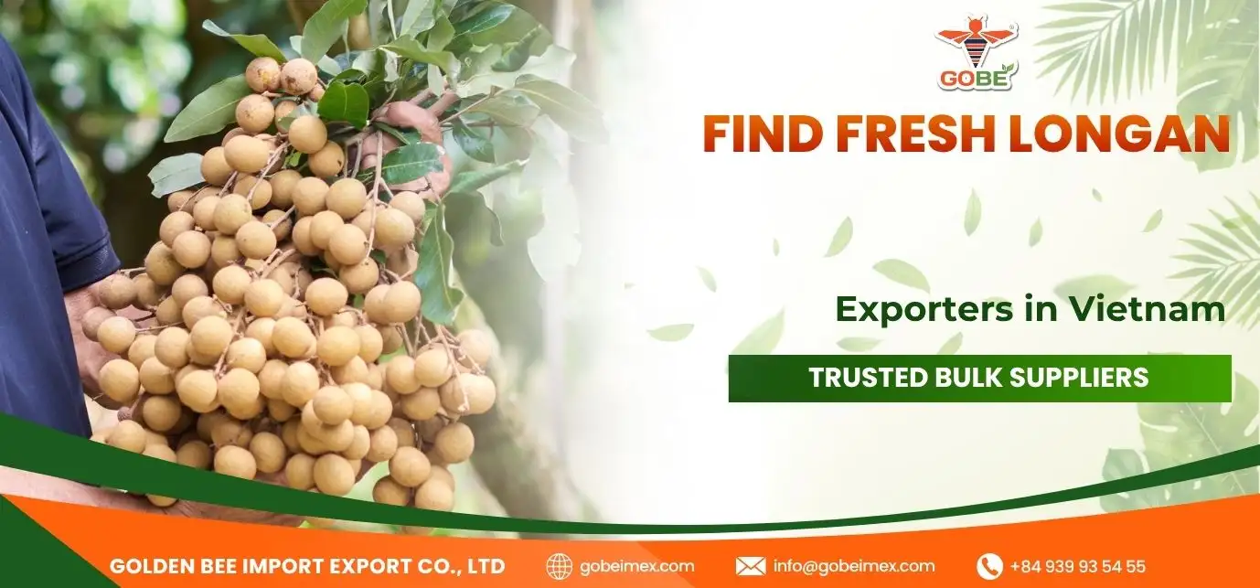 Find Fresh Longan Exporters in Vietnam: Trusted Bulk Suppliers