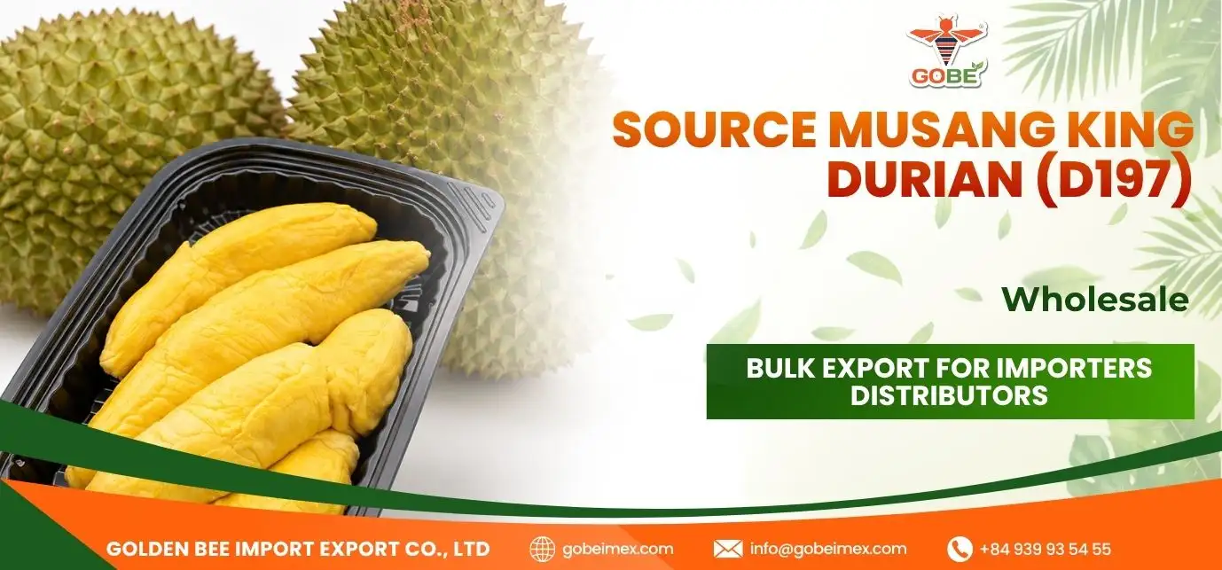 Source Musang King Durian (D197) Wholesale: Bulk Export for Importers Distributors