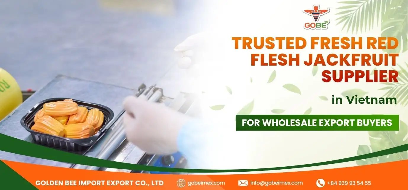 Trusted Fresh Red Flesh Jackfruit Supplier in Vietnam for Wholesale Export Buyers