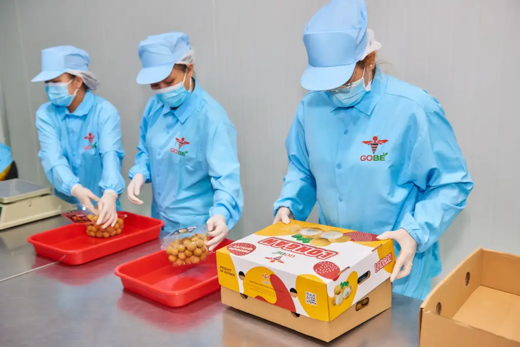 What Certifications Should a Legitimate Vietnam Longan Exporter Hold?
