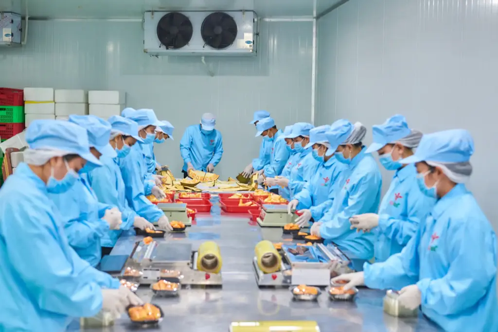 What Certifications Should a Trusted Red Flesh Jackfruit Supplier Hold?