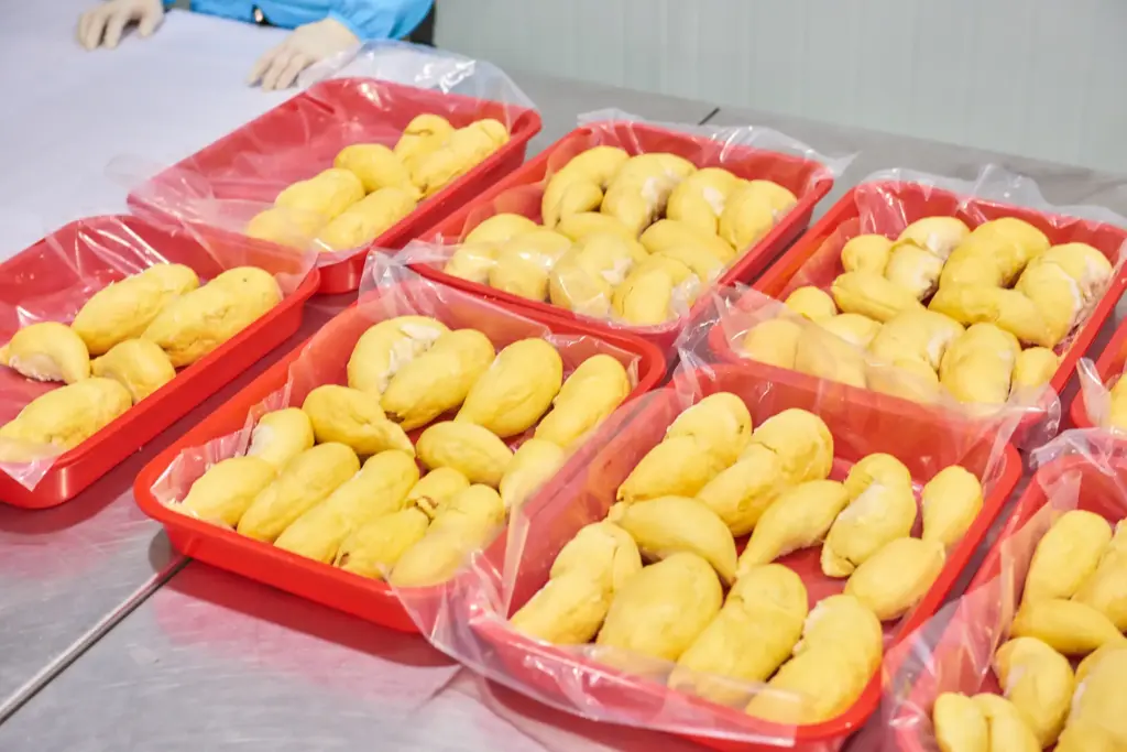 What Cold Chain Requirements Must Be Maintained During Durian Export?