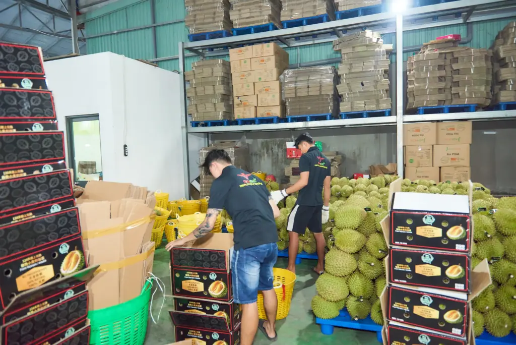 What International Certifications Are Required to Export Durian to Key Markets?