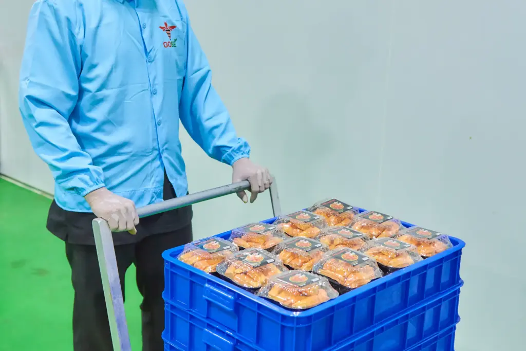 What Is Vietnam's Current Jackfruit Export Price per Kg/Ton?