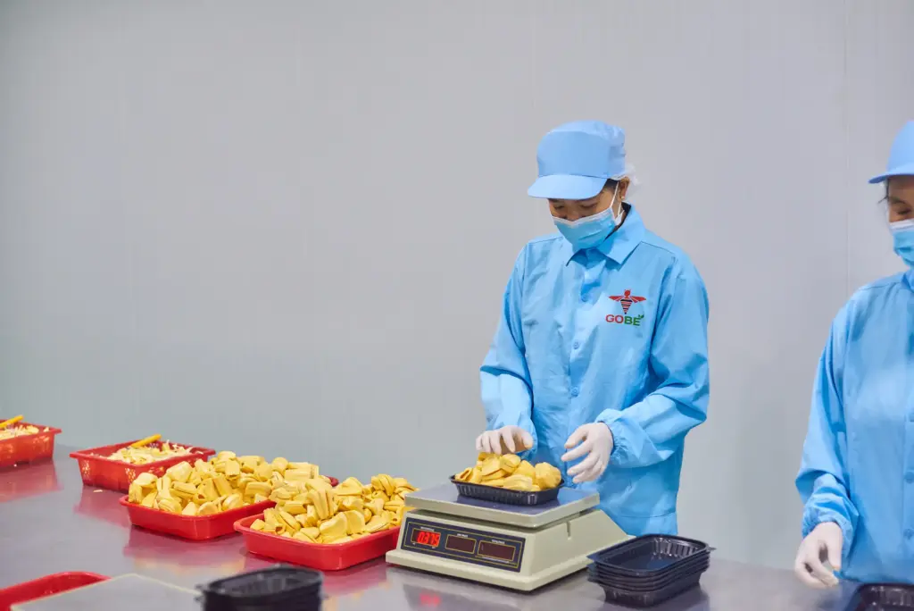 What Product Forms Are Available When You Buy Jackfruit in Bulk?