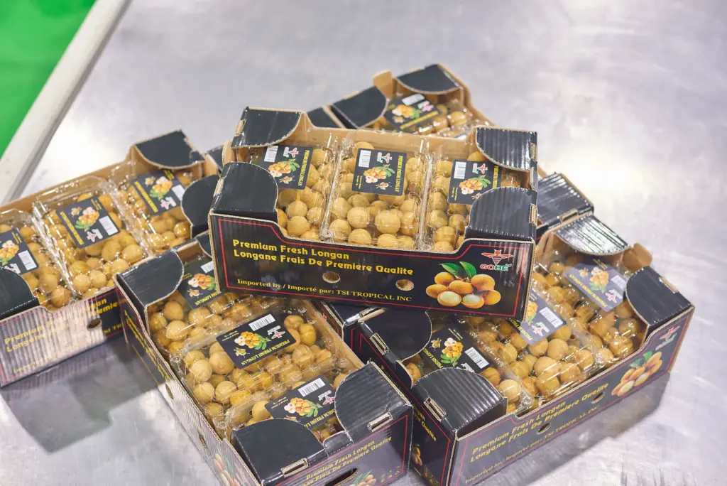 What Should Importers Ask a Vietnam Longan Exporter Before Placing an Order?