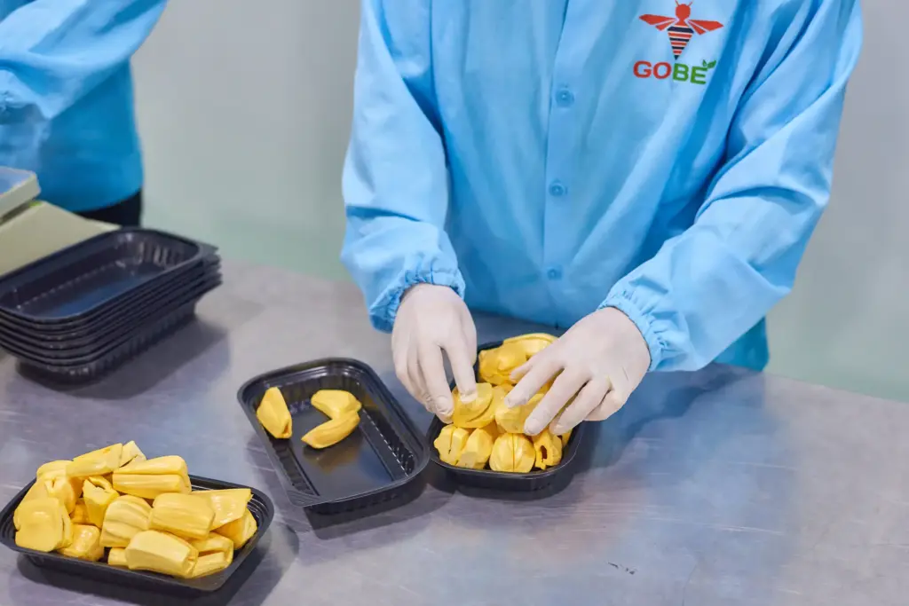 Is Fresh Bulk Jackfruit the Right Choice for Retailers and Grocery Chains?