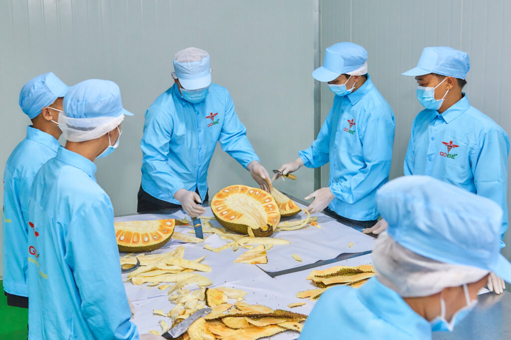 What Are the Key Characteristics That Define Export-Grade Red Flesh Jackfruit?