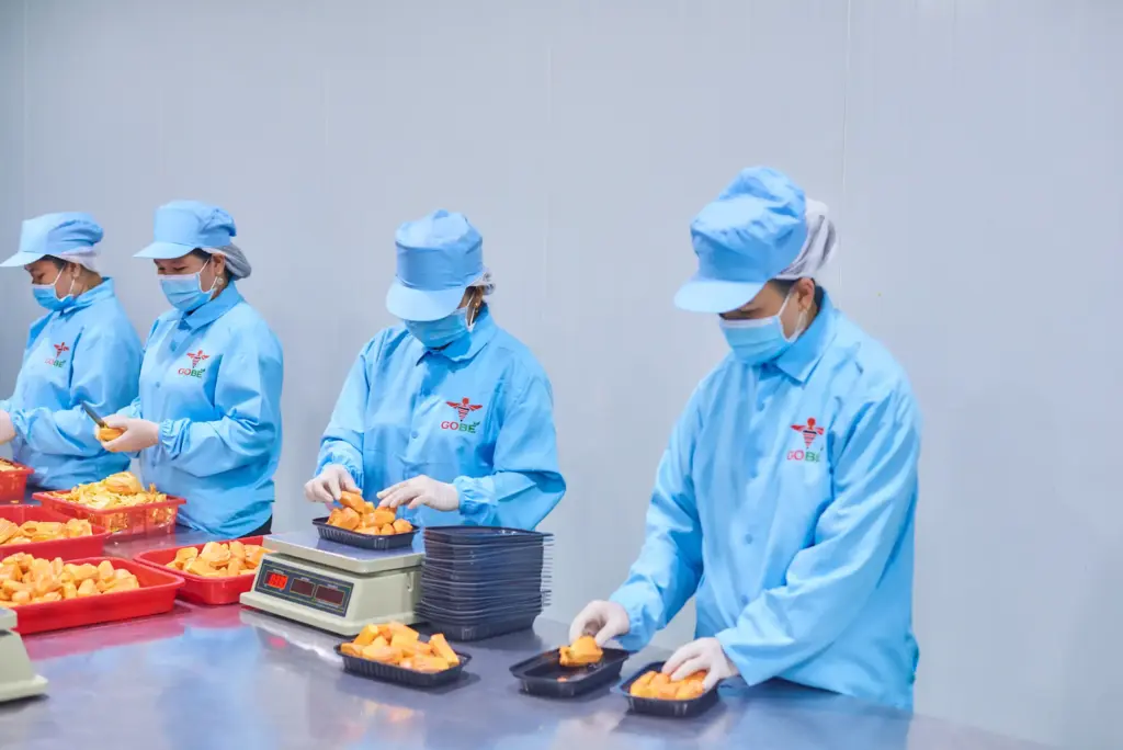 What Are the Minimum Order Quantities and Packaging Options for Wholesale Import?