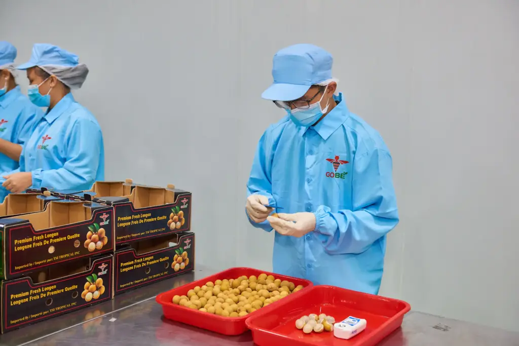 What Certifications Should a Reliable Vietnamese Longan Exporter Hold?