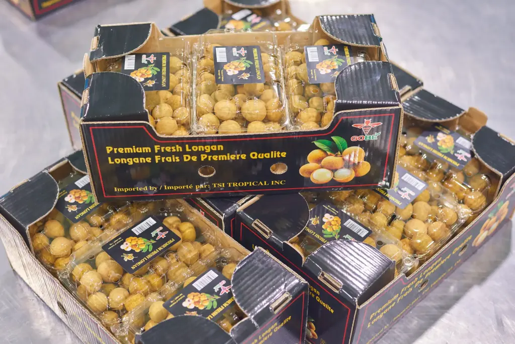What Is the Typical MOQ for Bulk Longan Orders by Product Type?